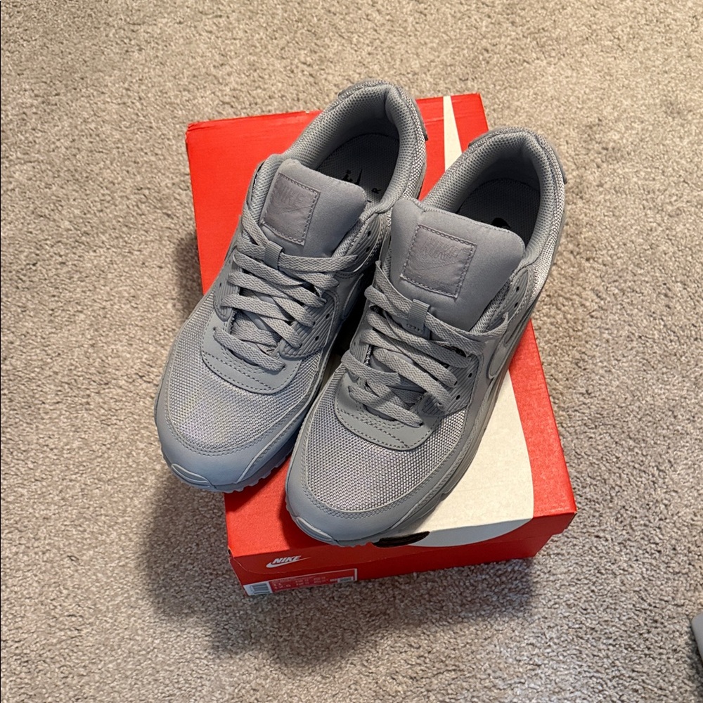 Nike Men's Cool Gray Sneakers